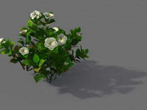 Spielmodell - Wald - Strauch 09 3D Modell