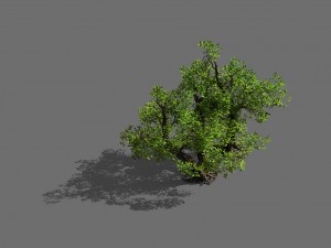 game models - forest - shrubs 10 3D Модель