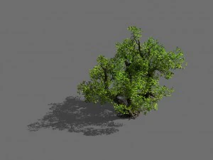 Spielmodelle - Wald - Str&auml;ucher 10 3D Modell