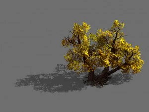 Spielmodelle - Wald - Str&auml;ucher 11 3D Modell