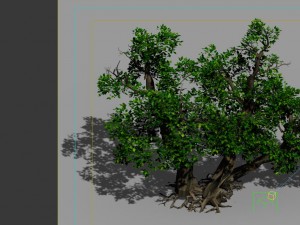 game models - forest - shrubs 11 3D Модель
