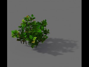 game models - forest - shrubs 12 3D Модель