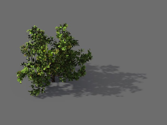 game model - forest - shrub 13 Modello 3D .c4d .max .obj .3ds .fbx .stl .blend 
