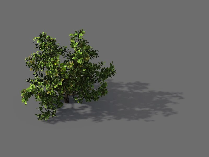 game model - forest - shrub 13 3D Model .c4d .max .obj .3ds .fbx .stl .blend