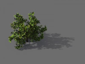 game model - forest - shrub 13 3D Модель