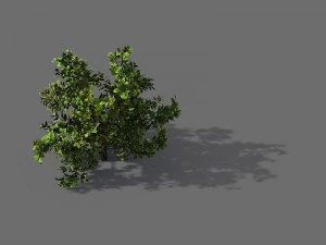 Spielmodell - Wald - Strauch 13 3D Modell