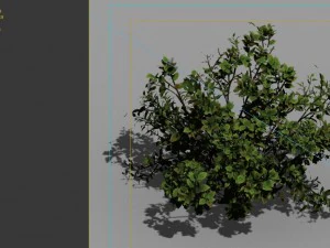 game model - forest - shrub 13 3D Model