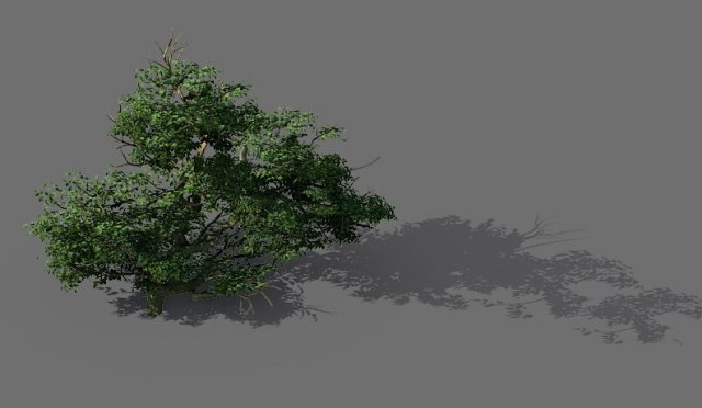 game model - forest - shrub 14 3D Модель .c4d .max .obj .3ds .fbx .stl .blend 