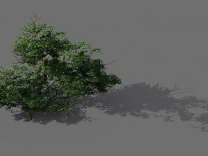 game model - forest - shrub 14 3D Модель