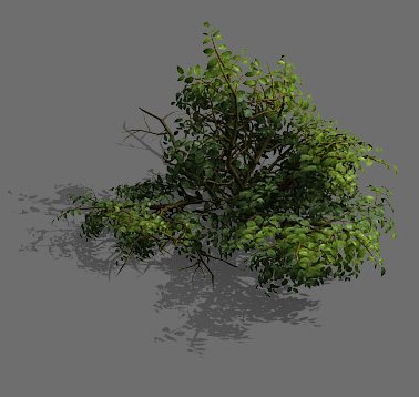 game model - forest - shrub 15 Model 3D .c4d .max .obj .3ds .fbx .stl .blend 