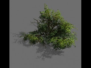 game model - forest - shrub 15 3D Модель
