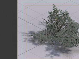 game model - forest - shrub 15 Model 3D