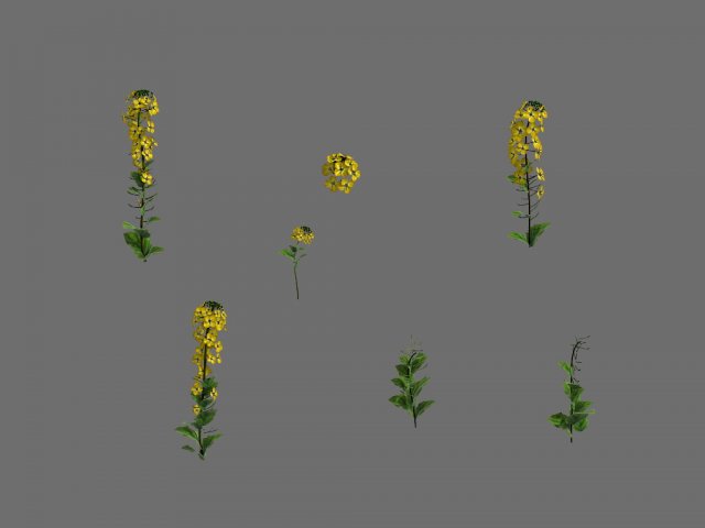 game model - forest - flowers 02 3D 模型 .c4d .max .obj .3ds .fbx .stl .blend 