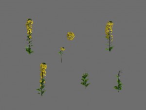 game model - forest - flowers 02 3D Модель