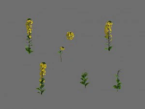 Spielmodell - Wald - Blumen 02 3D Modell
