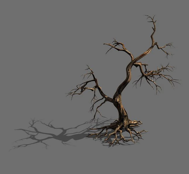 game model - forest - dead tree 01 3D Model .c4d .max .obj .3ds .fbx .stl .blend