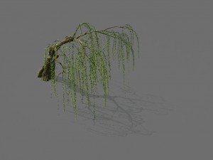 game model - forest - willow 01 3D Модель
