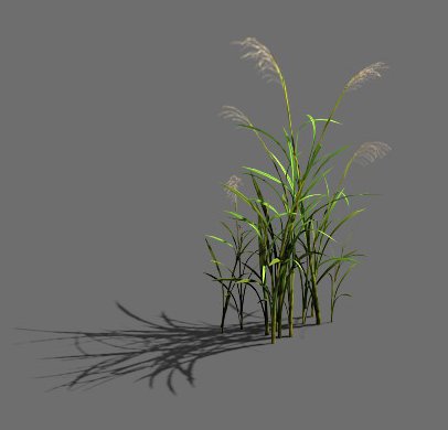 game model - forest - grass Modèle 3D .c4d .max .obj .3ds .fbx .stl .blend 