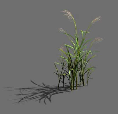 game model - forest - grass 3D Model .c4d .max .obj .3ds .fbx .stl .blend 