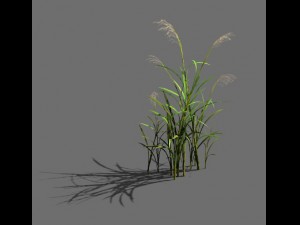 game model - forest - grass 3D Модель