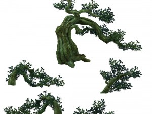 game model - forest - tree 3D Модель