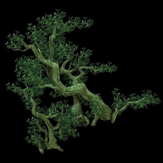 game model - forest - tree 02 3D Model .c4d .max .obj .3ds .fbx .stl .blend 