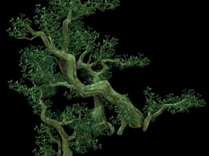 game model - forest - tree 02 3D Модель