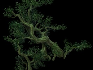 game model - forest - tree 04 3D Model