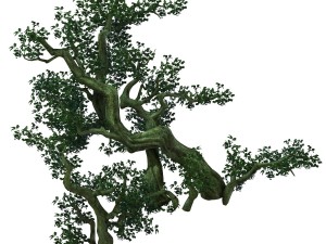 game model - forest - tree 04 3D 모델