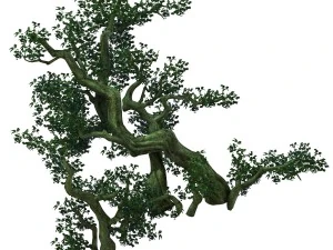 game model - forest - tree 04 3D Model