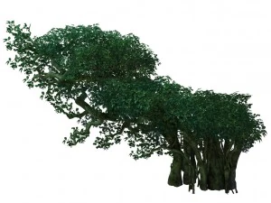 game model - forest - tree 05 3D Model