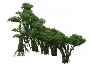 game model - forest - tree 10 3D Model