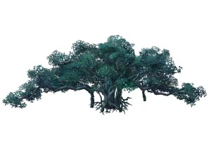 game model - forest - tree 11 3D Model