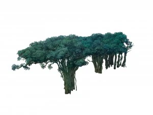 game model - forest - tree 12 3D Model