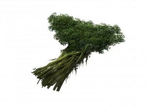game model - forest - tree 14 3D Model