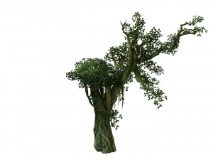 game model - forest - tree 14 3D 模型