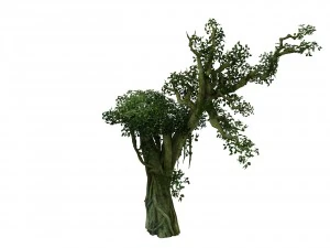 game model - forest - tree 14 3D Model