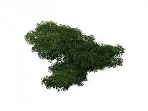 game model - forest - tree 14 3D Model