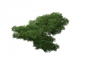game model - forest - tree 14 3D Model