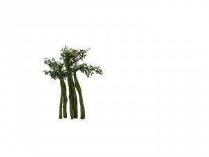 game model - forest - tree 14 3D 模型