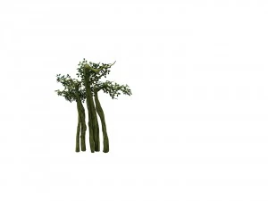 game model - forest - tree 14 3D Model
