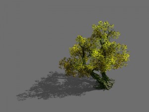 game model - forest - tree 20 3D Модель