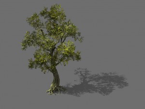 game model - forest - tree 01 3D Модель