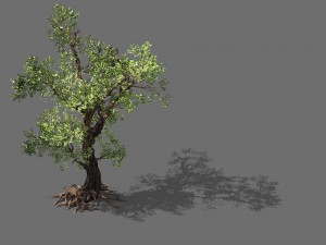 game models - forest - trees 02 3D Модель
