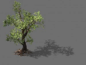 Spielmodelle - Wald - B&auml;ume 02 3D Modell