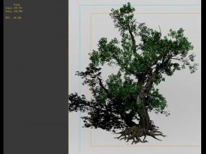 game models - forest - trees 02 3D Model