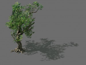 game models - forest - trees 03 3D Модель