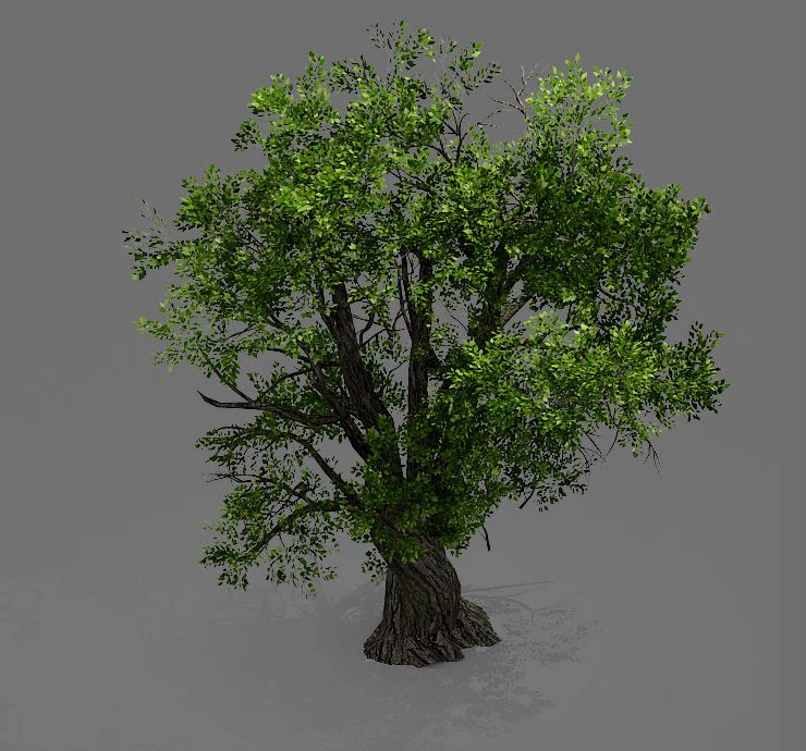 game model - forest - tree 04 3D Model .c4d .max .obj .3ds .fbx .stl .blend 