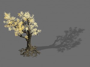game models - forest - trees 05 3D Model