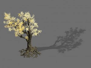 Spielmodelle - Wald - B&auml;ume 05 3D Modell